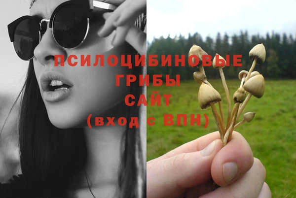 мет Абинск