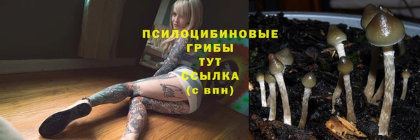 твердый Абаза