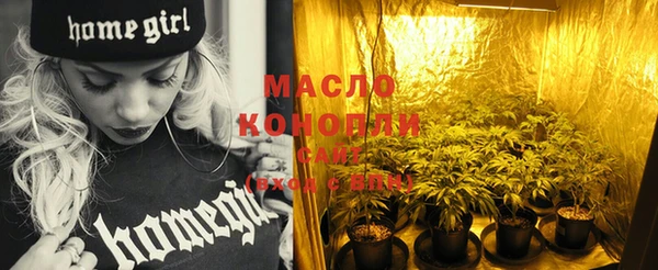 мдпв Каменка