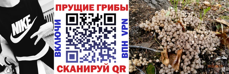 цена   Струнино  Псилоцибиновые грибы Magic Shrooms 